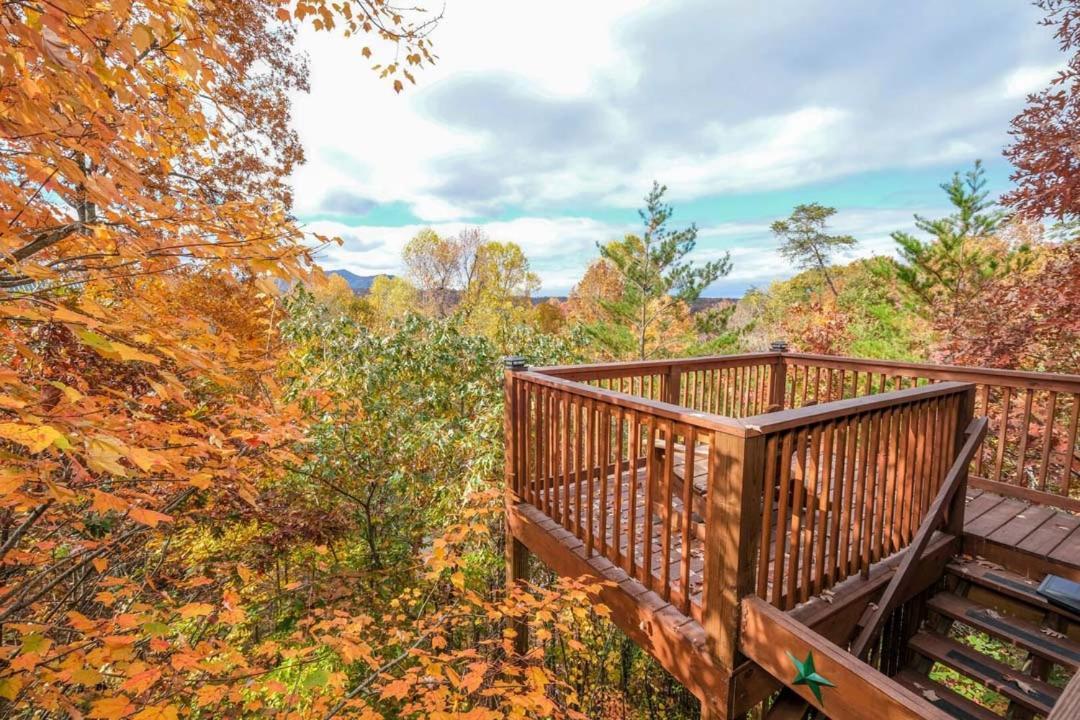 Beauty And The Bear By Colonial Properties Pigeon Forge