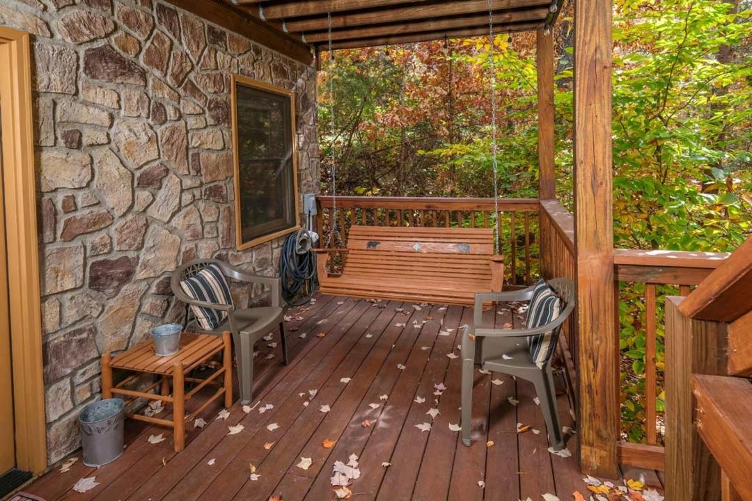 Beauty And The Bear By Colonial Properties