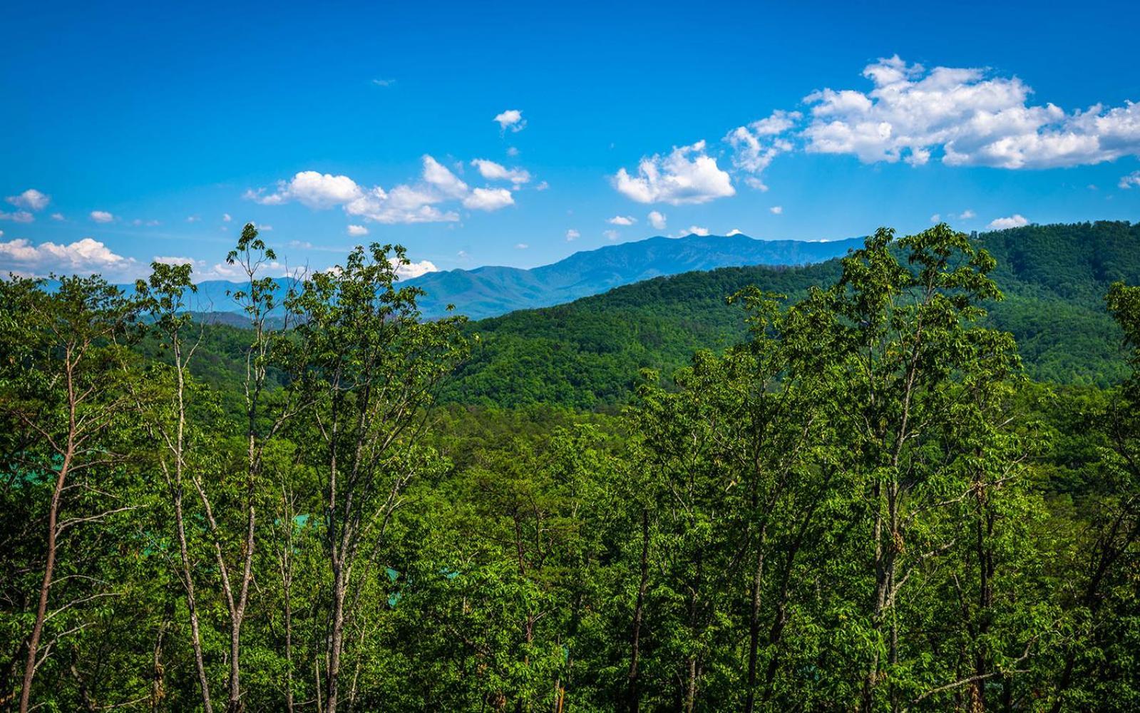 Angel Haven Pigeon Forge