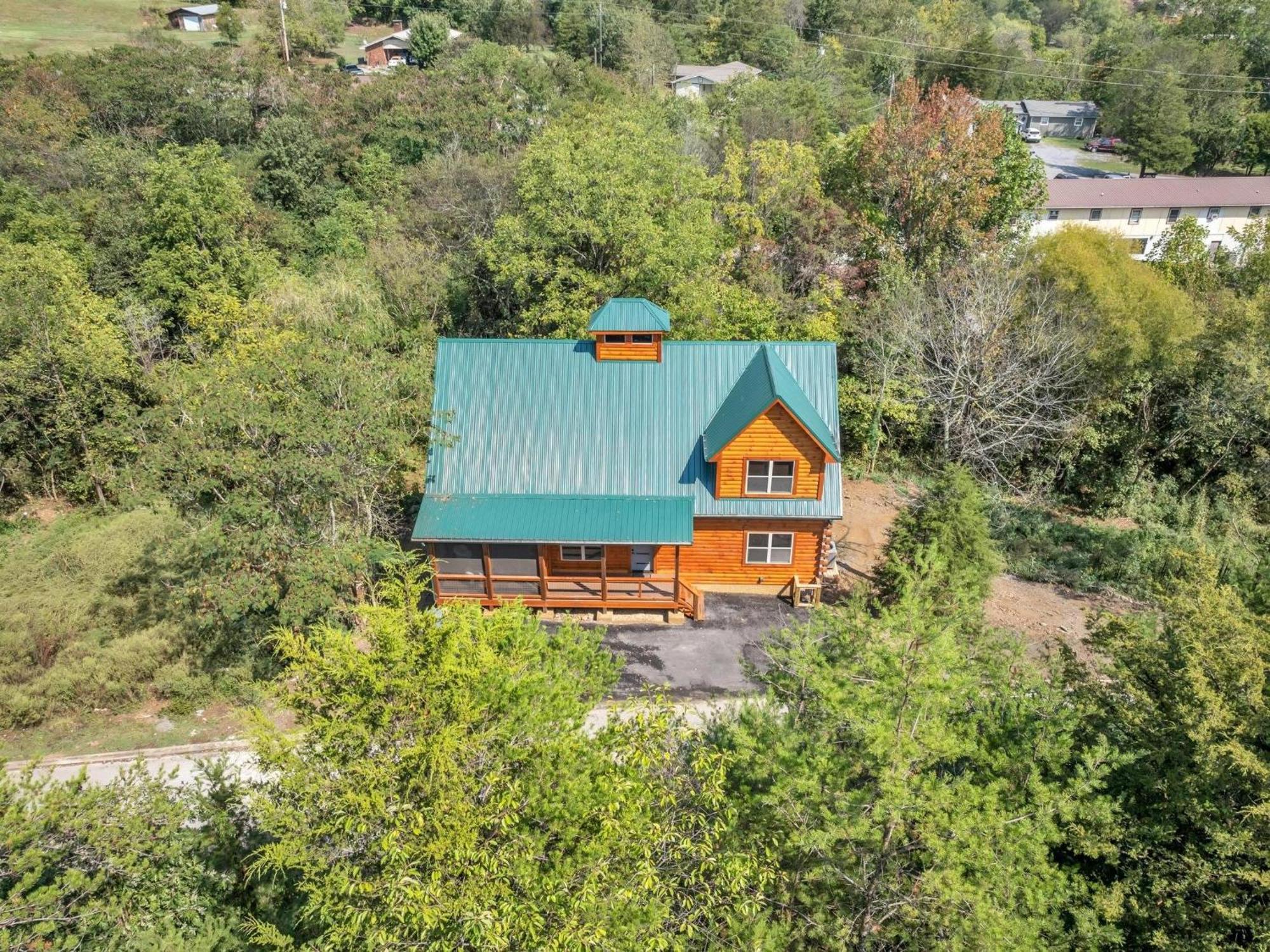 Ern803 - Beary Blue Oasis Pigeon Forge