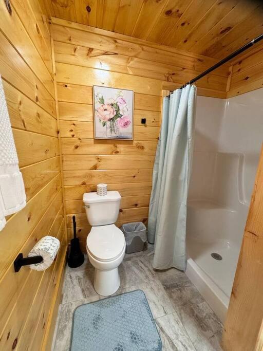 Enchanted Peak Holiday home Pigeon Forge