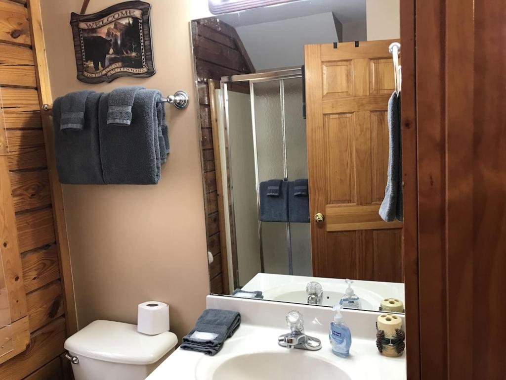 Sleepy Bears Den Holiday home Pigeon Forge