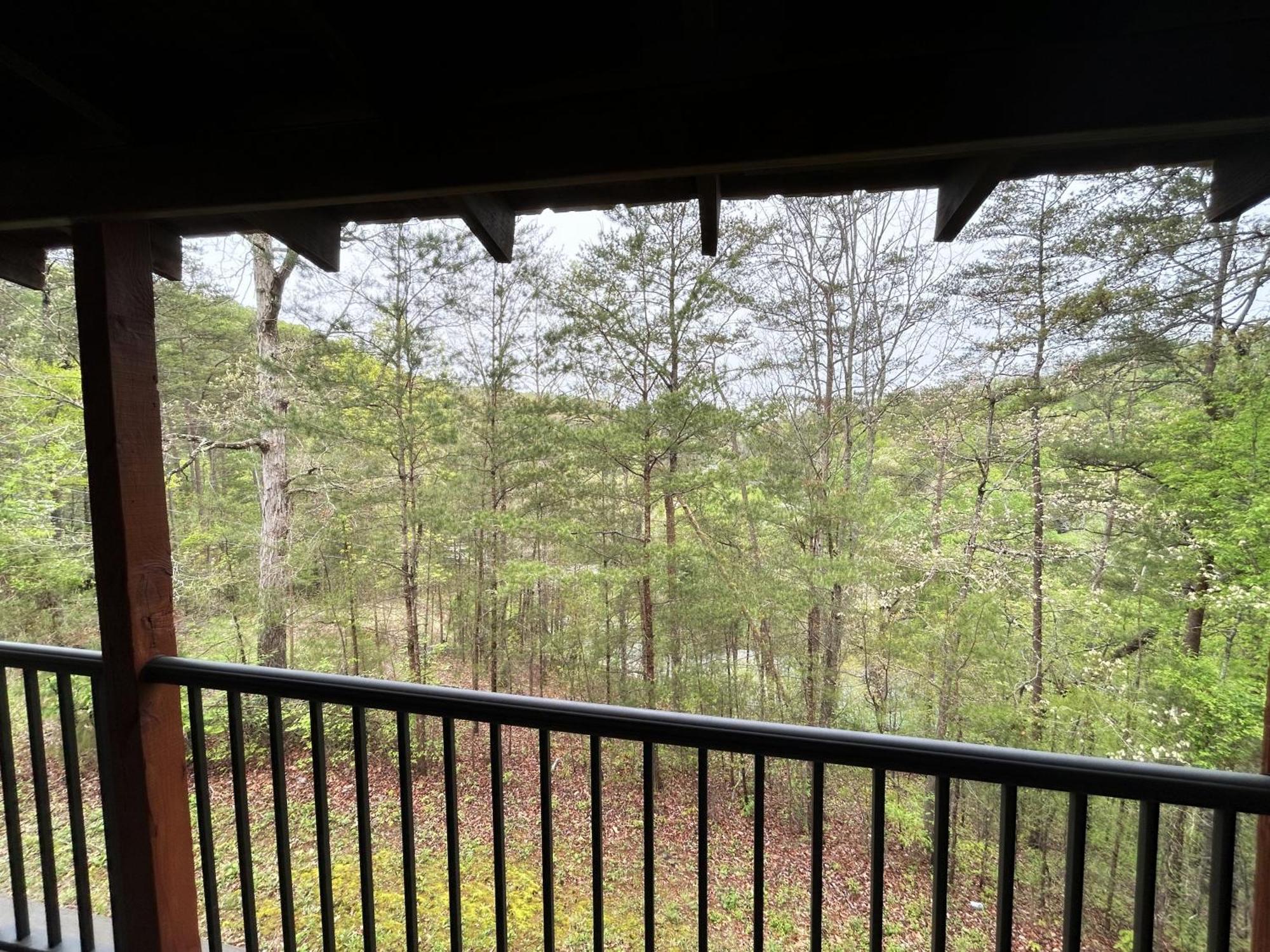 A Magical Experience * Pigeon Forge
