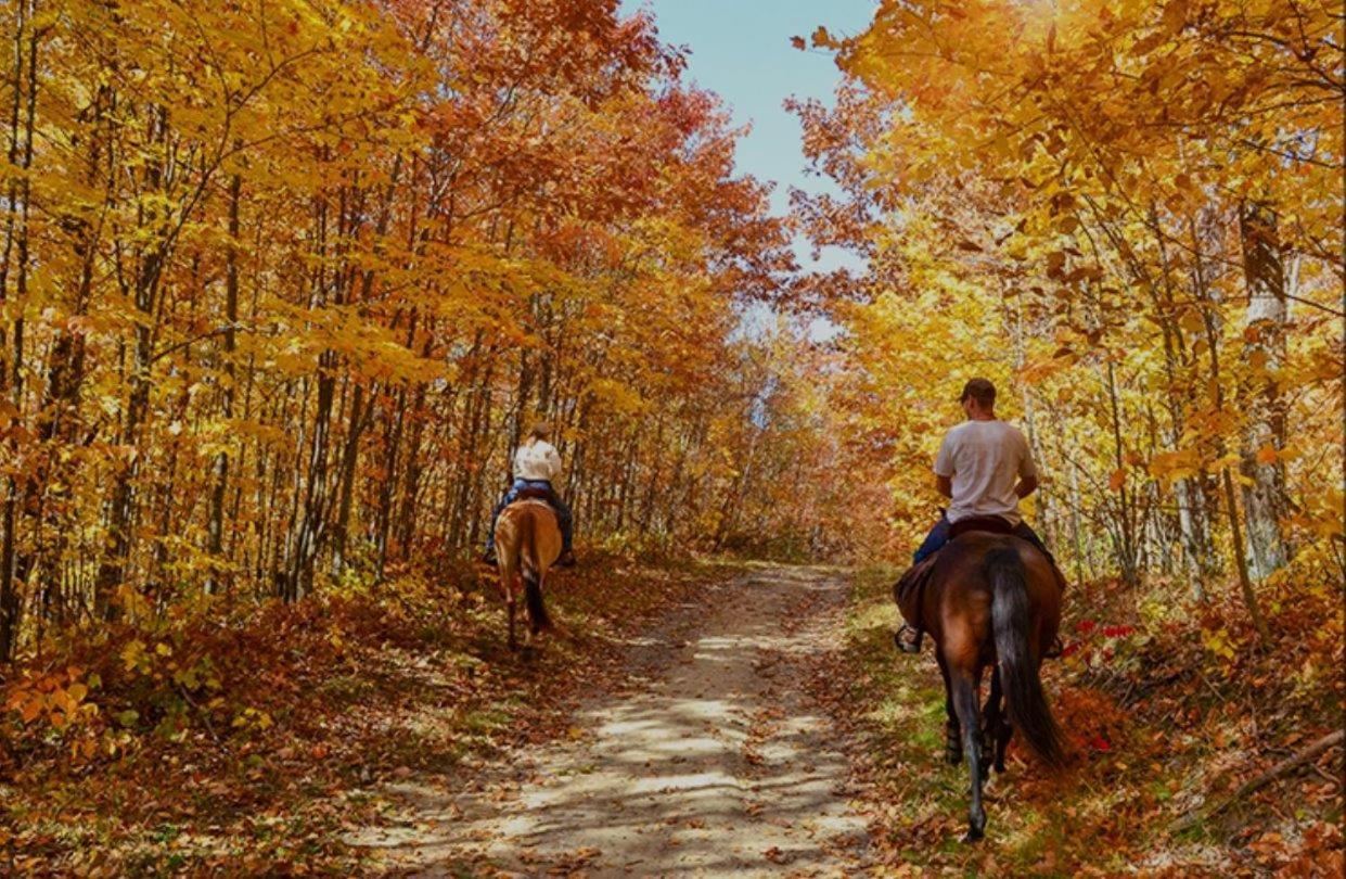 A Magical Experience Pigeon Forge