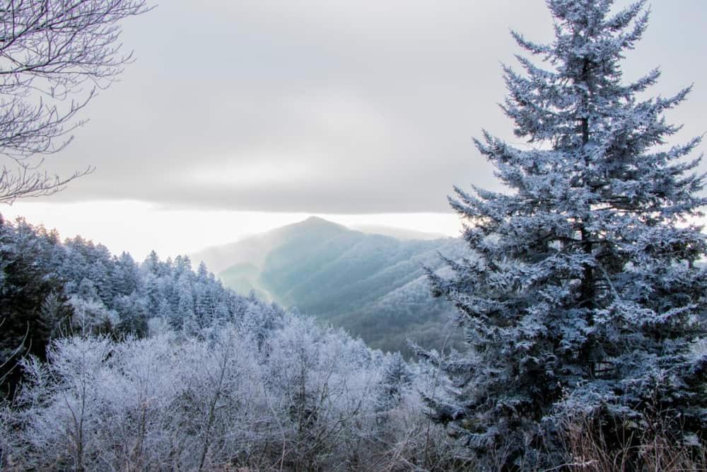 Holiday home Modern Style, Arcade, Fire Pit, Pet Friendly Pigeon Forge