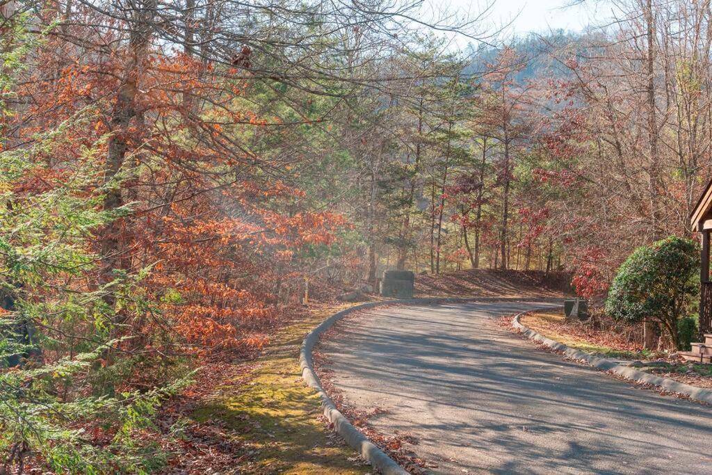 Heavenly Peace Pigeon Forge