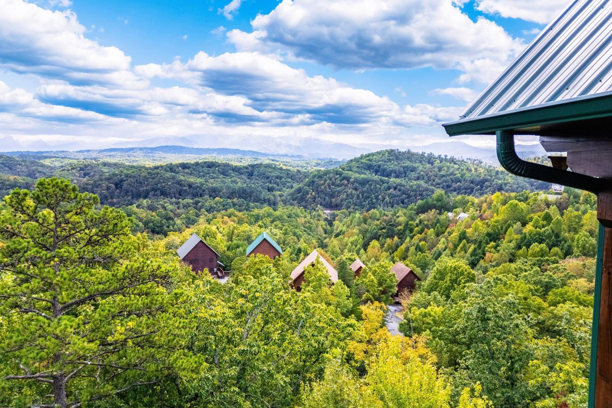 A True Dream Pigeon Forge