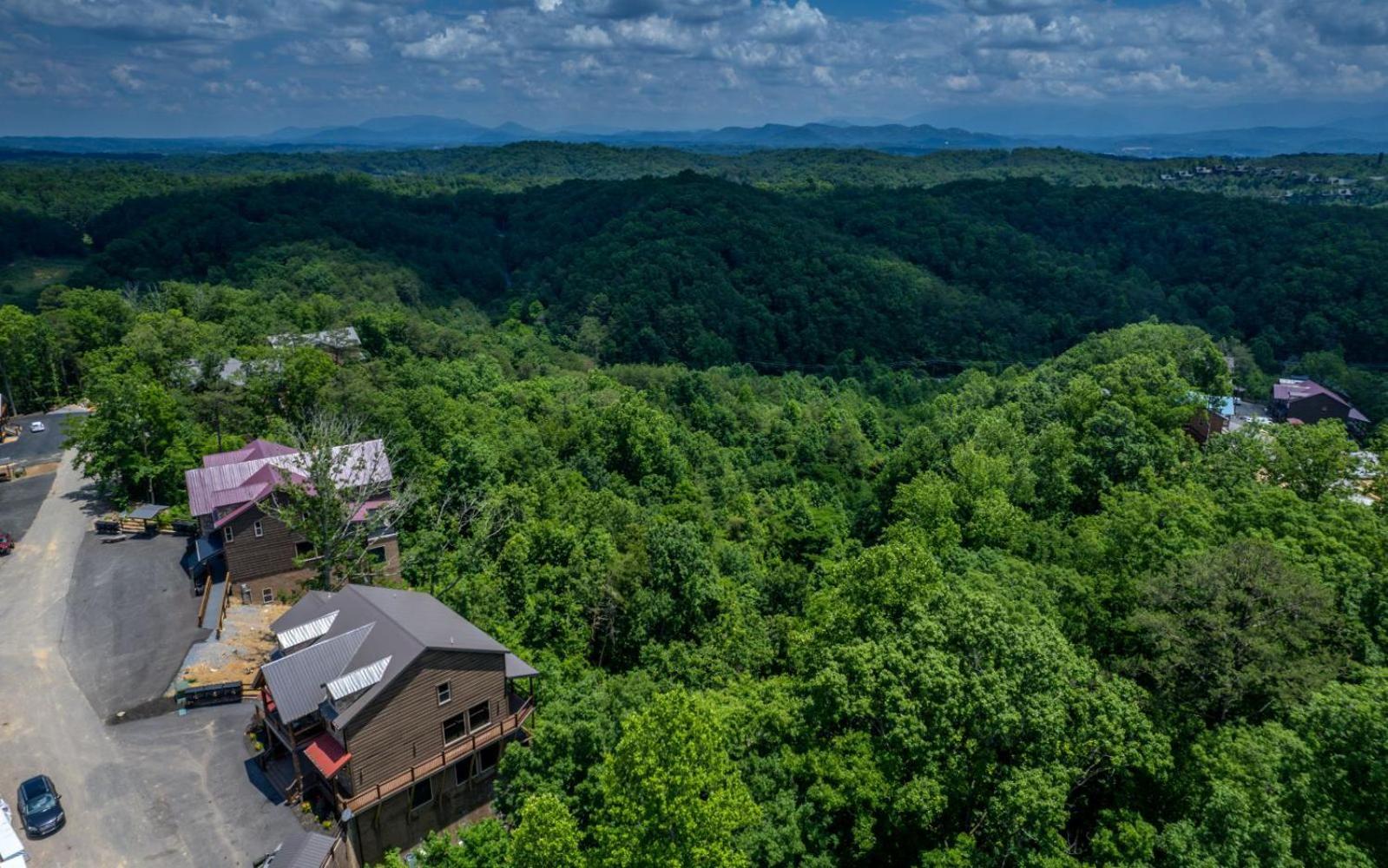 Hibernation Hideaway Villa Pigeon Forge