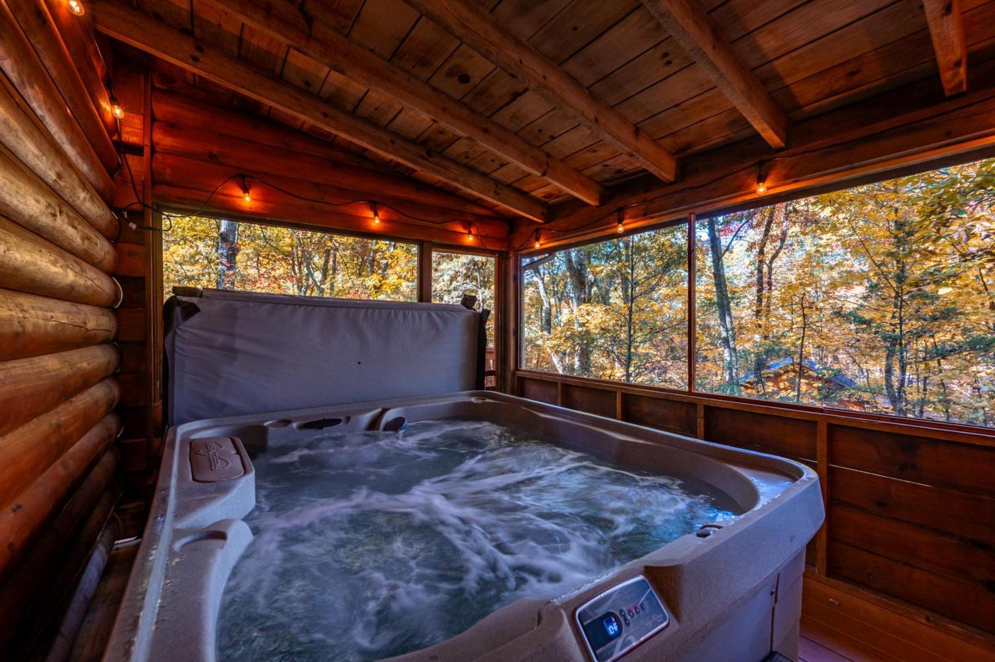 Bearolina On My Mind * Pigeon Forge