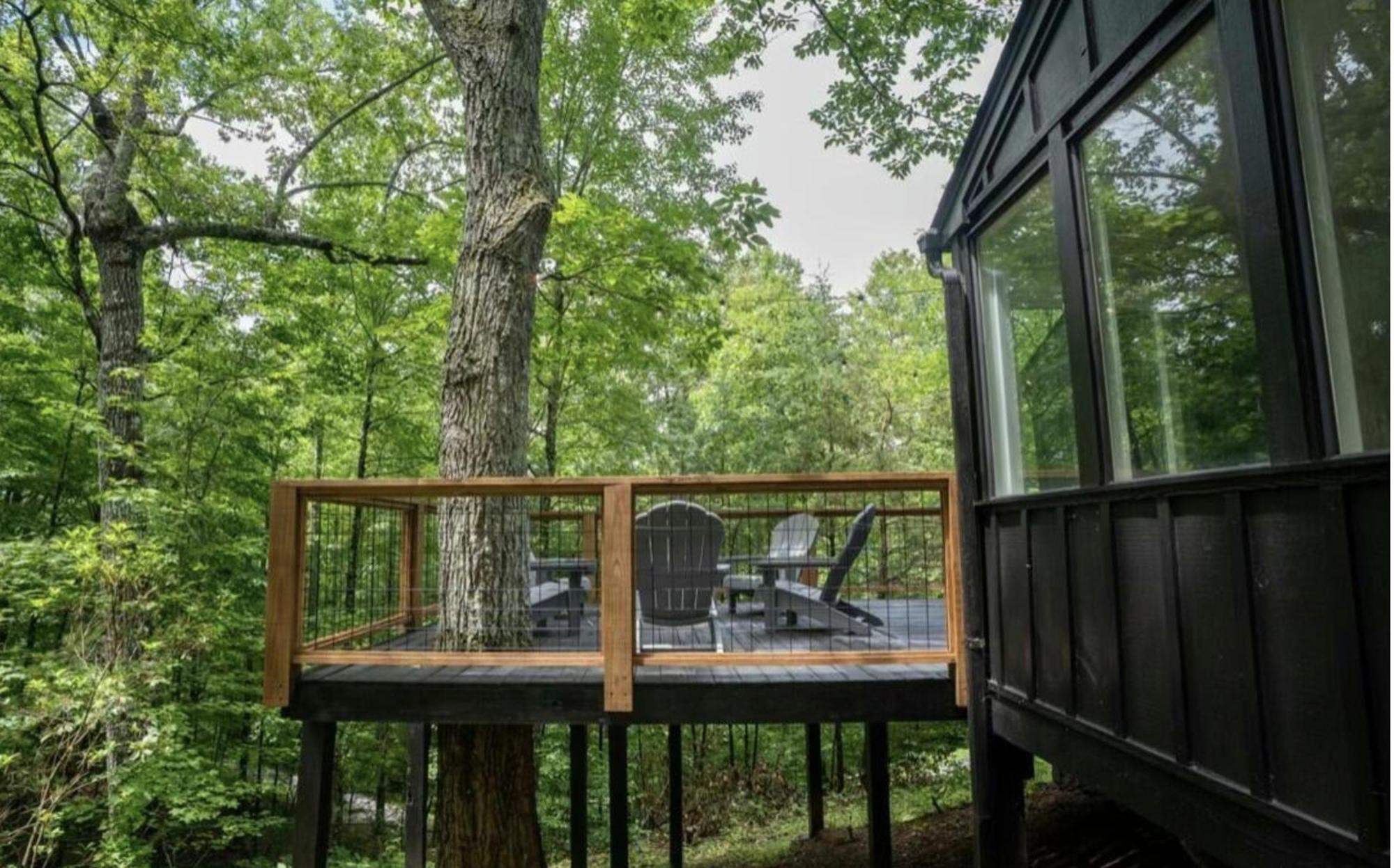 Modern Mountain Hideaway-secluded, Close To Town Holiday home Pigeon Forge