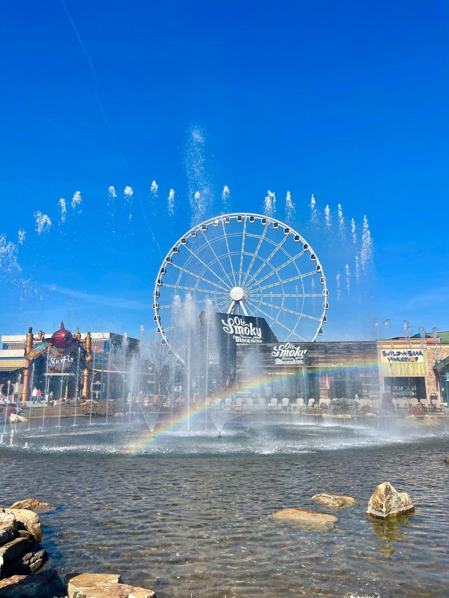 Another Day Bearadise * Pigeon Forge