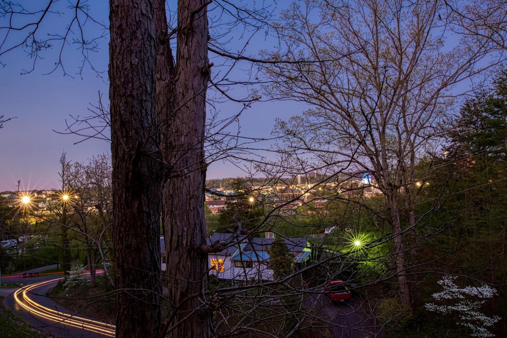 The Vicinity Chalet