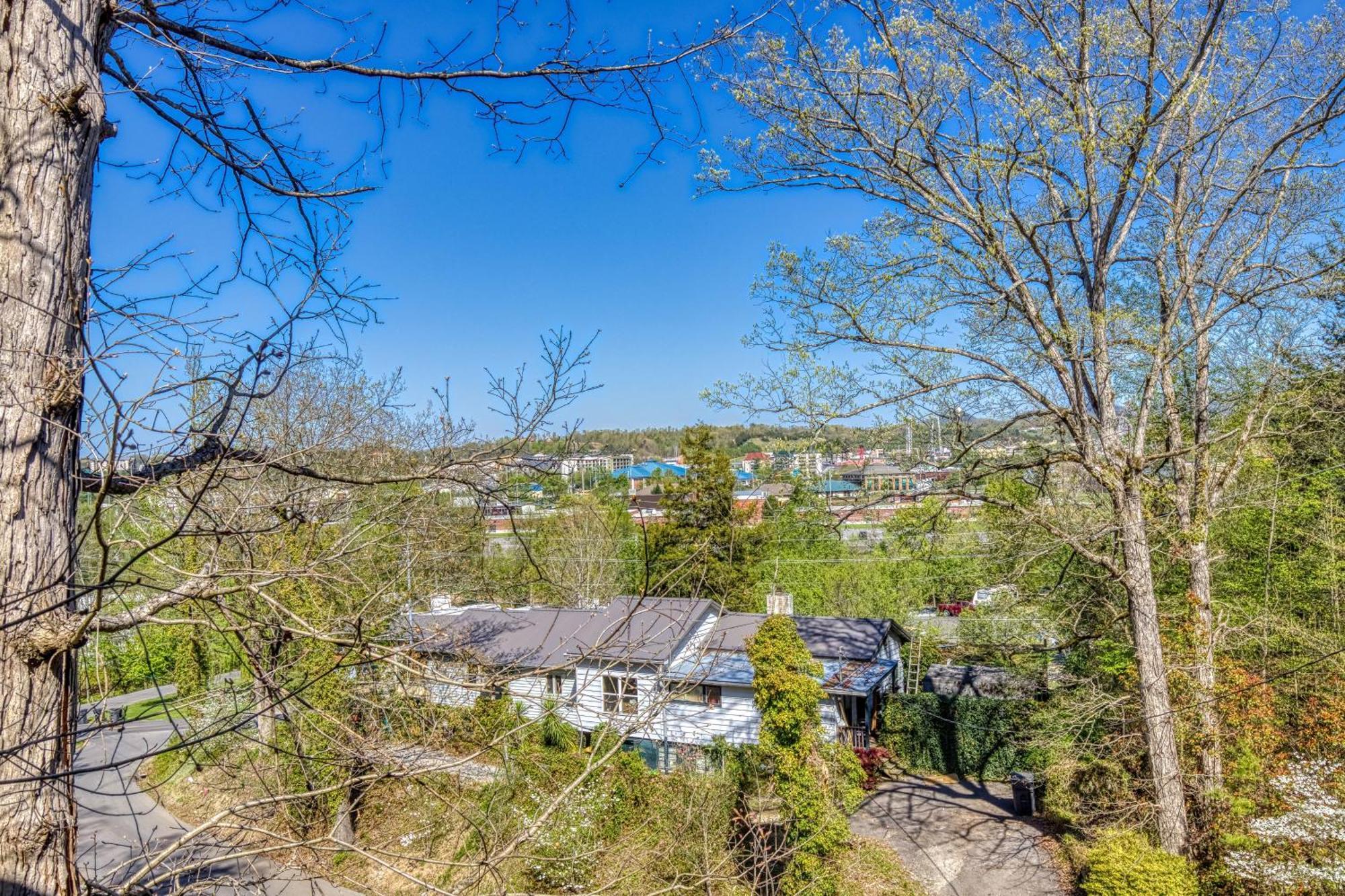 Chalet The Vicinity Pigeon Forge