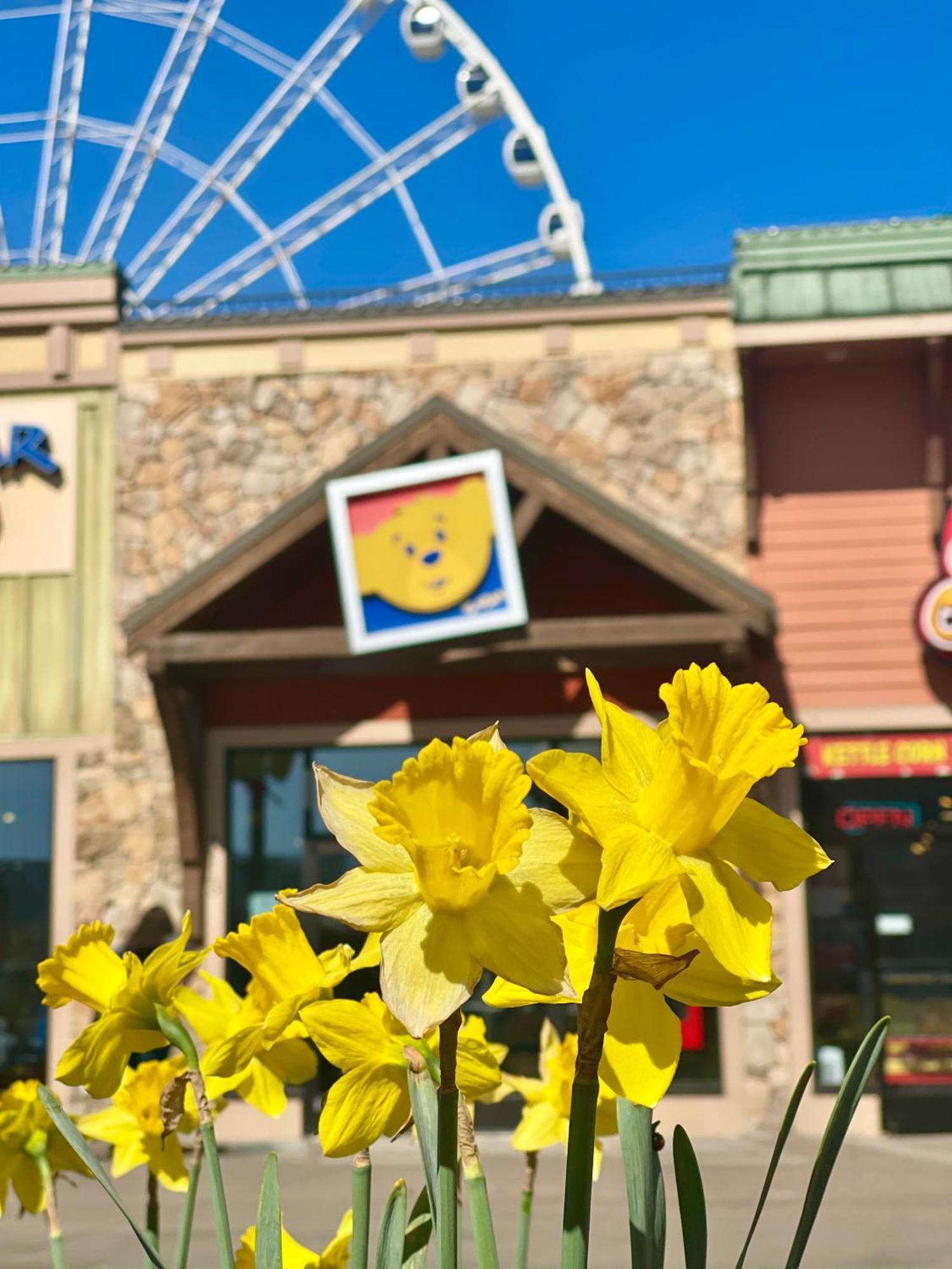 Grand River Canyon Pigeon Forge