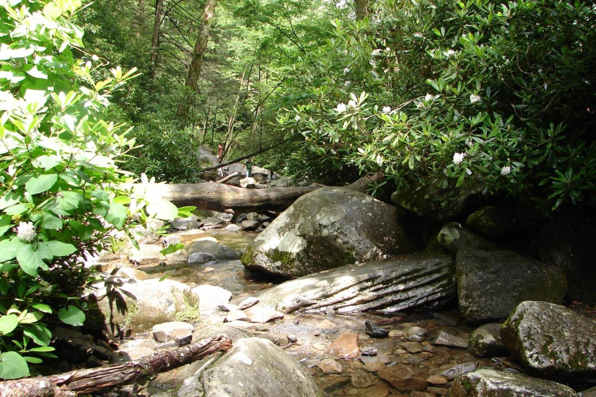 Hidden Hollow * Pigeon Forge