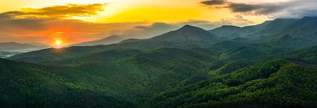 Chalet The Playful Bear Pigeon Forge
