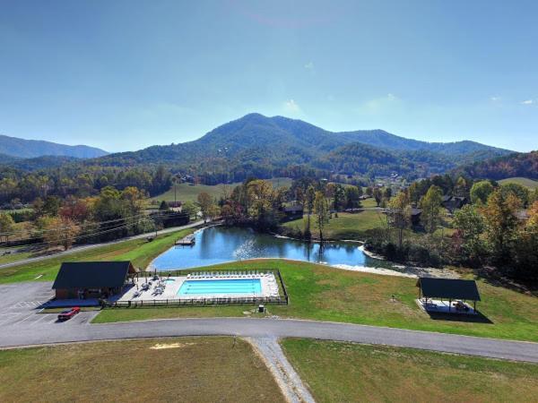 The Playful Bear Pigeon Forge