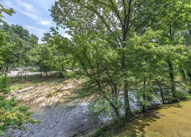 Cl303 Splash 'n' Views Holiday home Pigeon Forge
