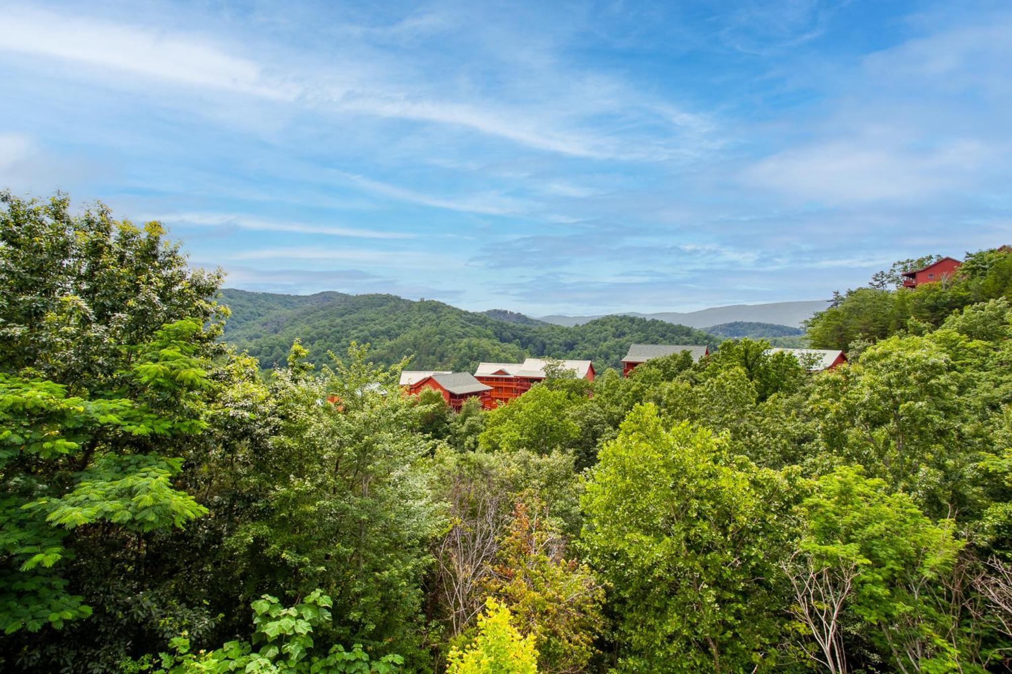 Bearly Haus -views, Hot Tub, Pool & Xbox! Holiday home Pigeon Forge