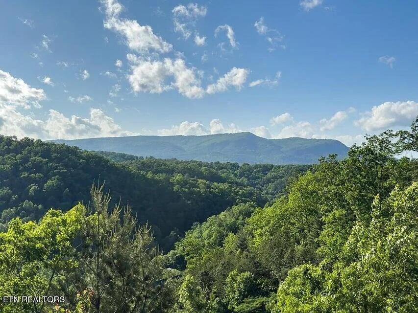 Holiday home New Luxury Newly Furnished Sleeps 20 Stunning View Heated Indoor Pool With New Mural Arcade Games Theater And Karaoke