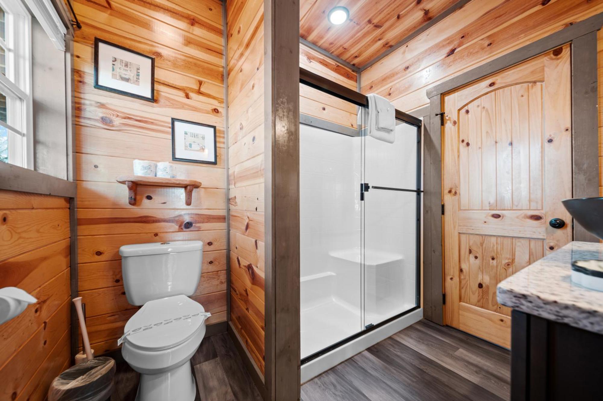 Indoor Heated Pool, Alpine Resort Near Dollywood, Theater & Game Room, Hot Tub Pigeon Forge