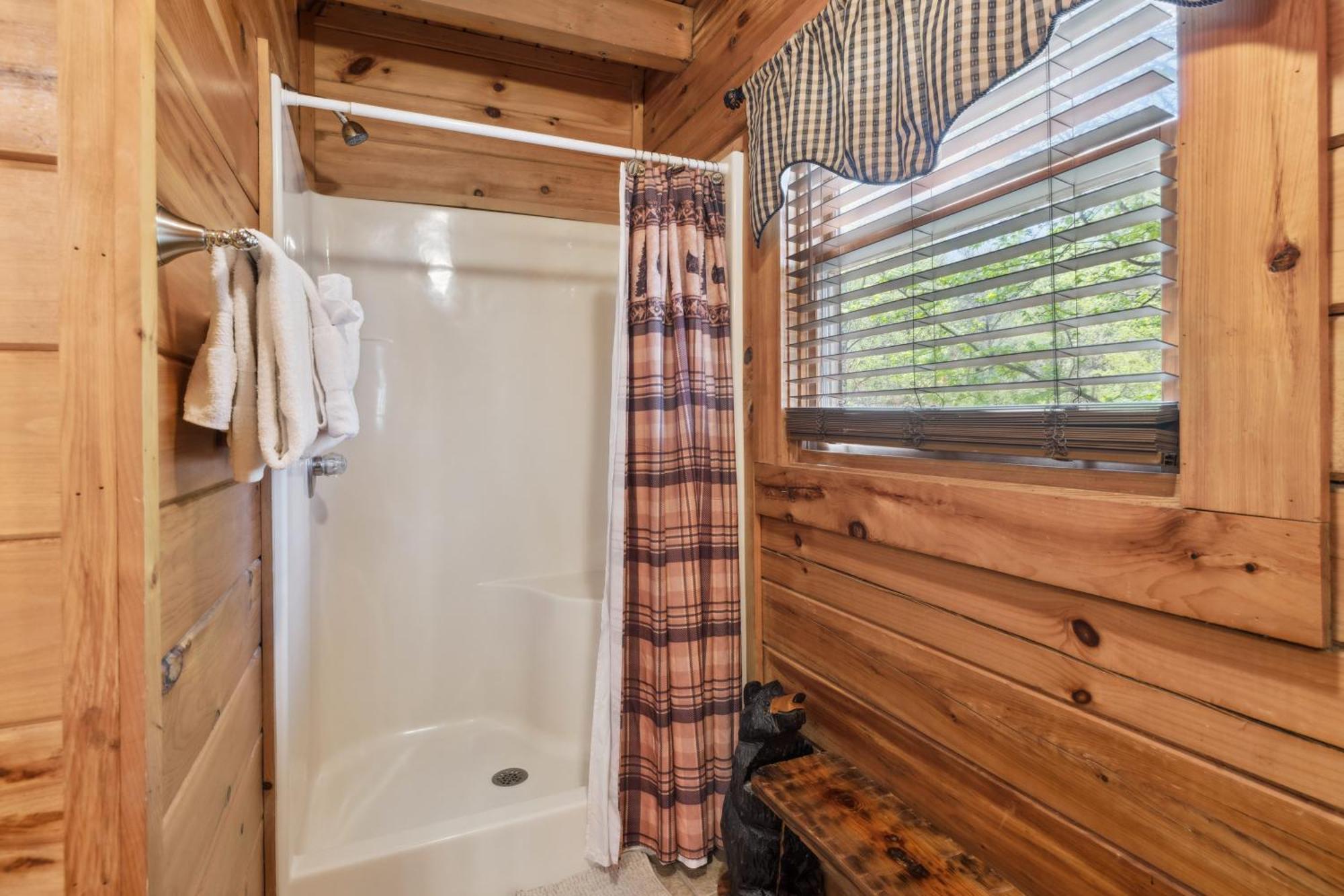 Are We Bear Yet Rustic 1br With Hot Tub Pools & Fireplace1 Mile From Parkway Holiday home