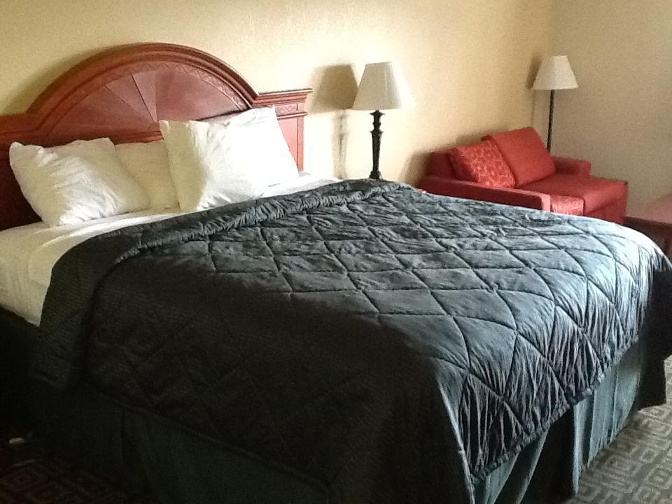 Margaritaville Island Hotel