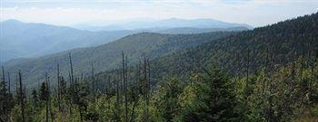 River Place #610 3bd Holiday home *