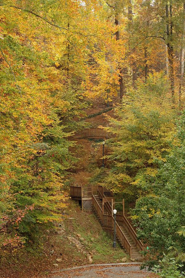 Walnut Grove * Pigeon Forge