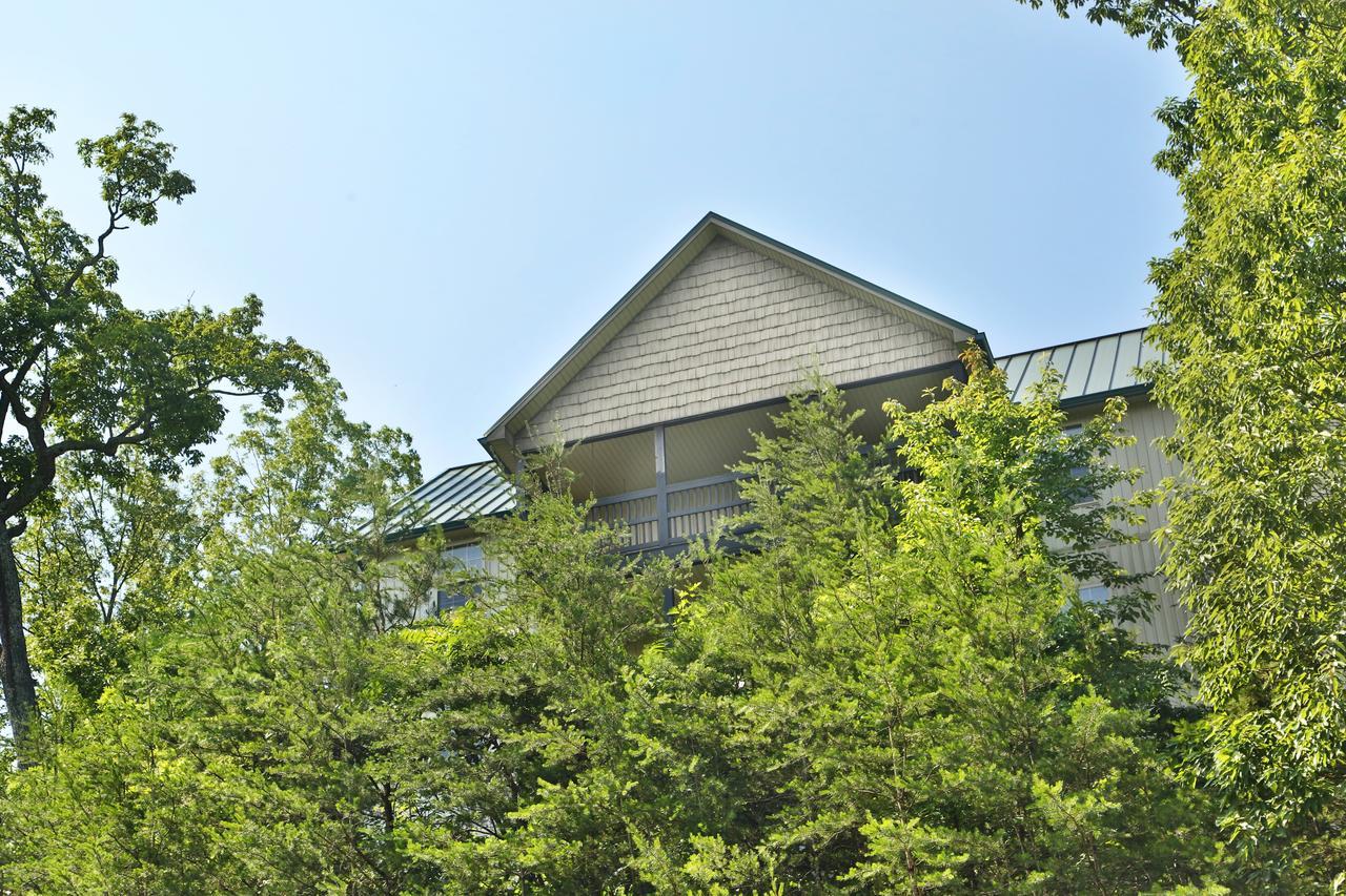 Pinnacle View 7b - Three Bedroom *