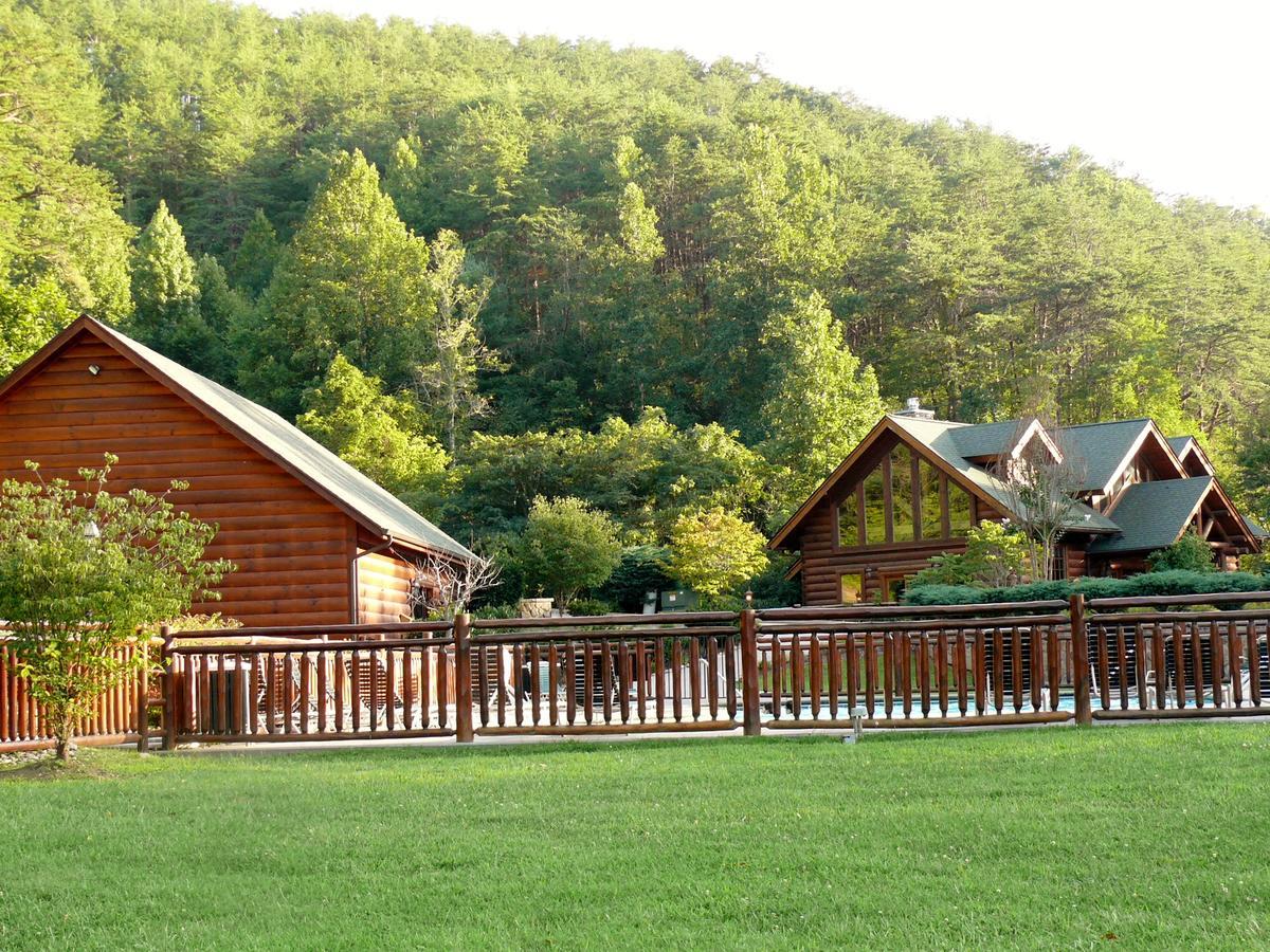 Hakuna Matata Pigeon Forge