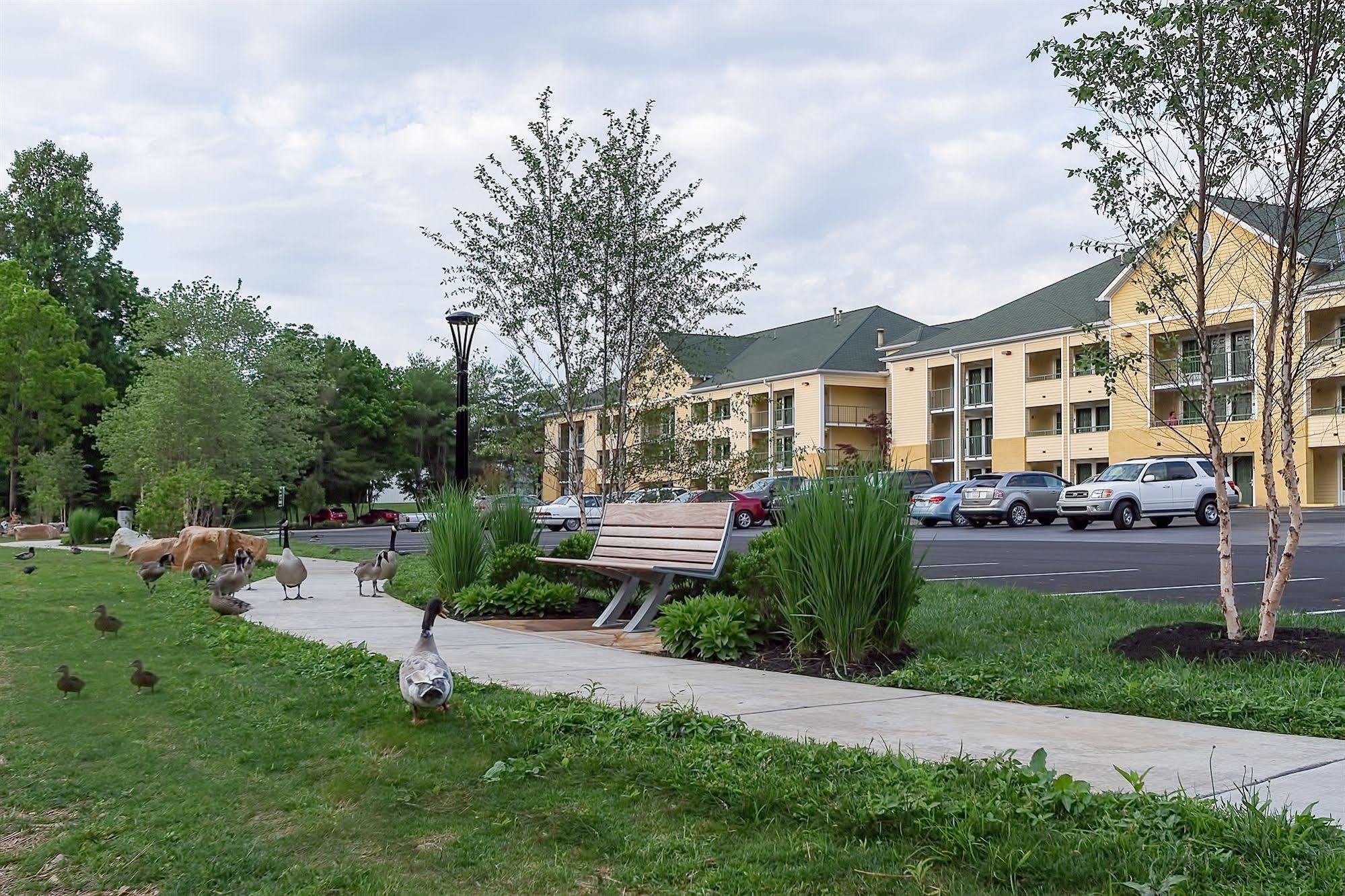 Lodge Econo Riverside *