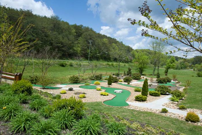 2 Swimming Pools Free Mini Golf Honey Bear Mtn Cabin - Hot Tub - Pool Table Holiday home *