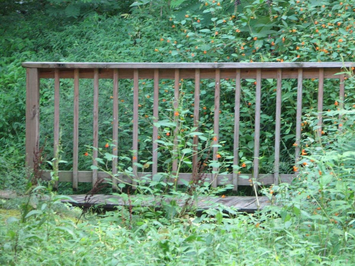 Cozy Creek * Pigeon Forge