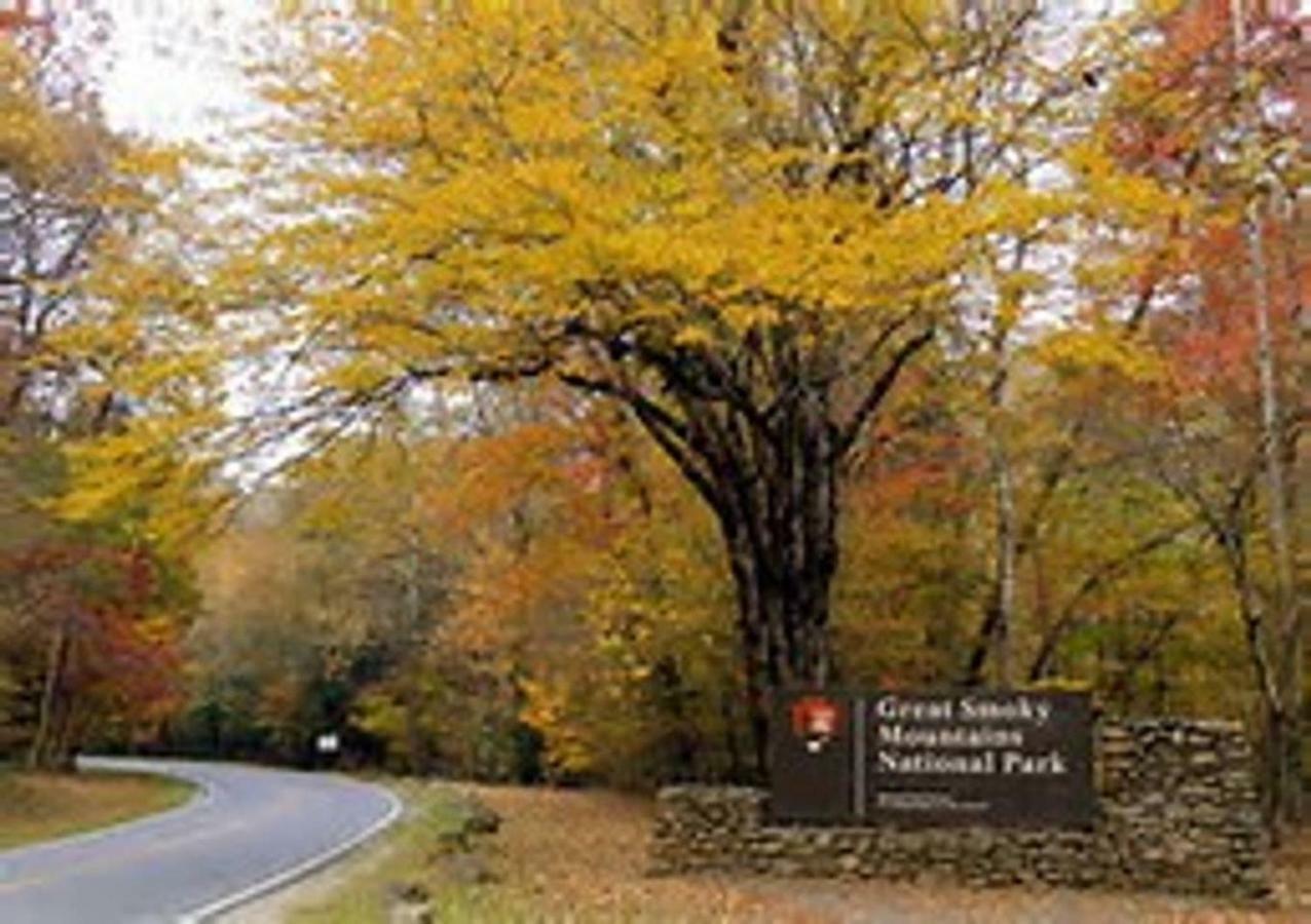 Holiday home Cozy Creek Pigeon Forge