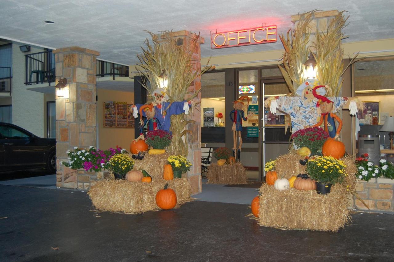 Vacation Hotel 3*