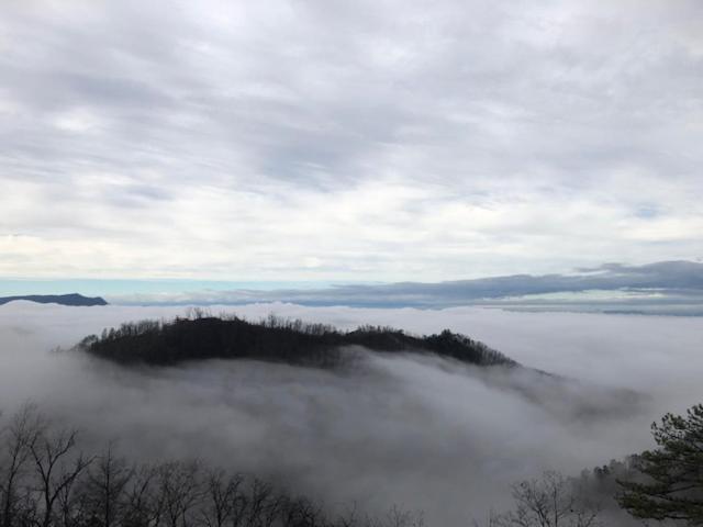 Sully's Mountain Retreat - Million Dollar View!! Holiday home *