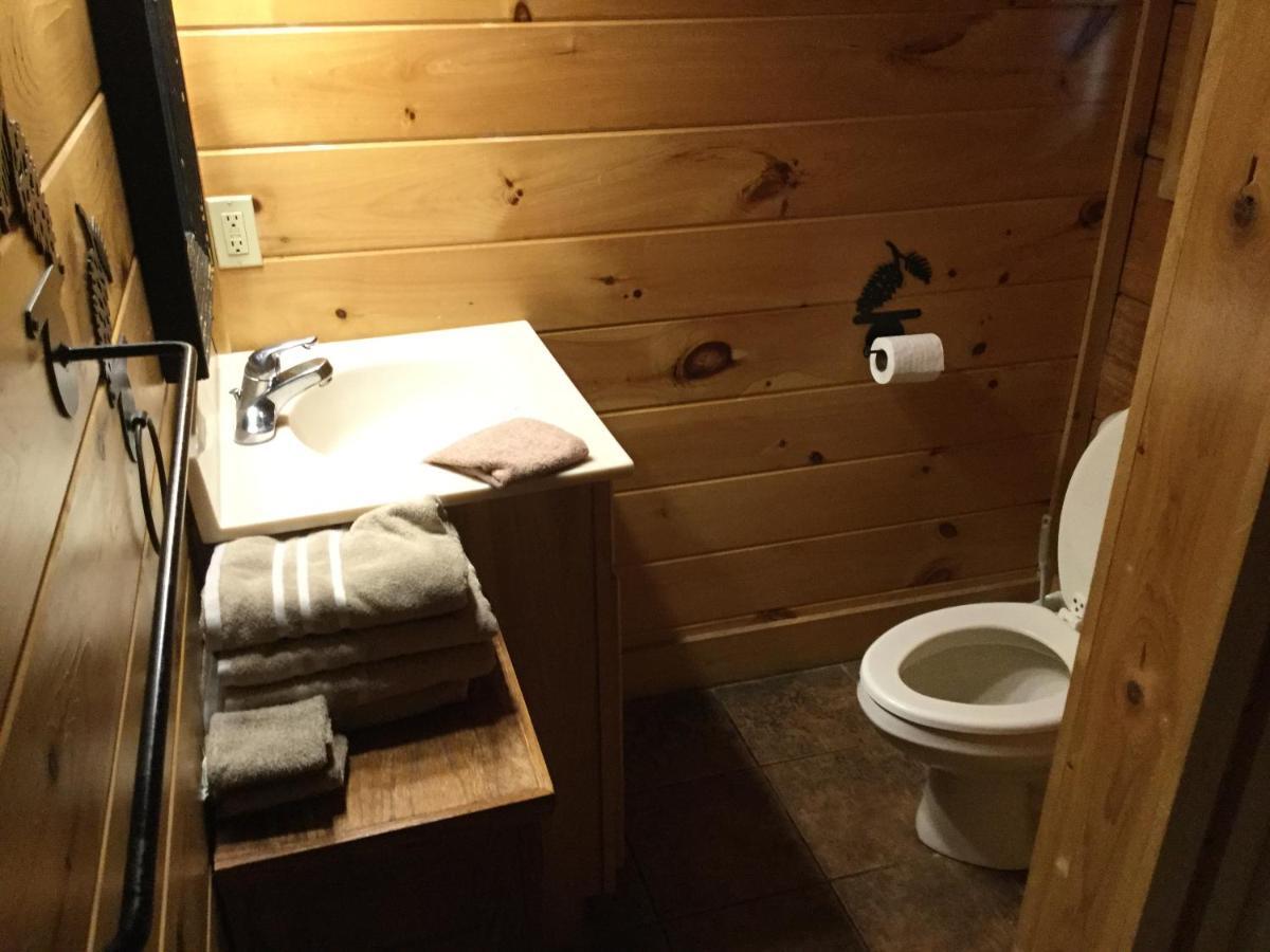2 Swimming Pools Free Mini Golf Honey Bear Mtn Cabin - Hot Tub - Pool Table *