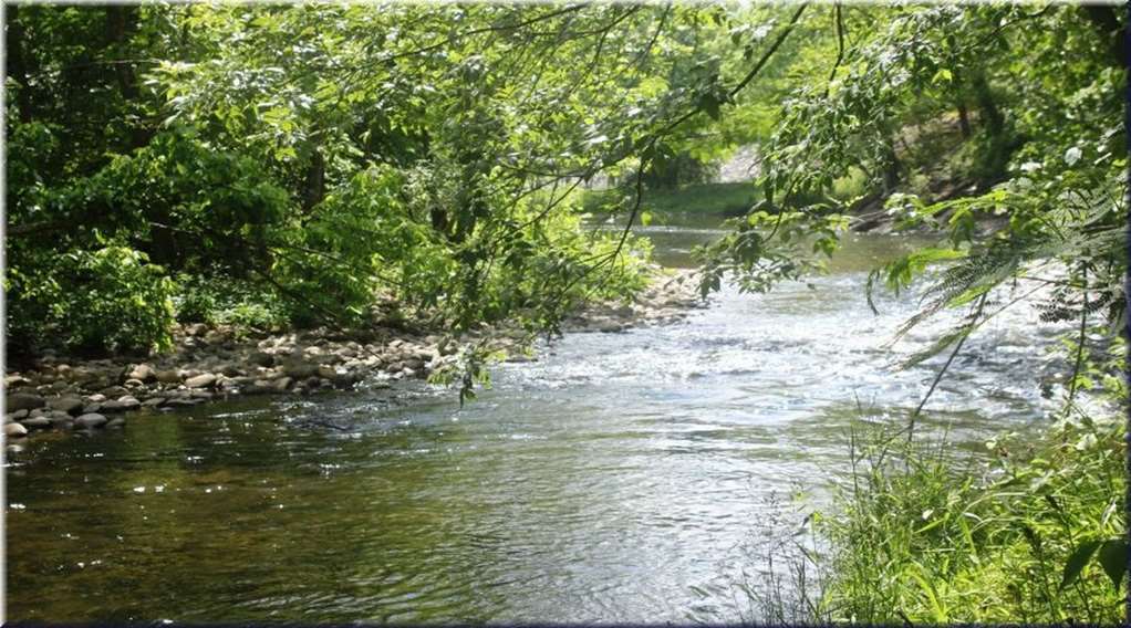Hotel River Bend - 2*