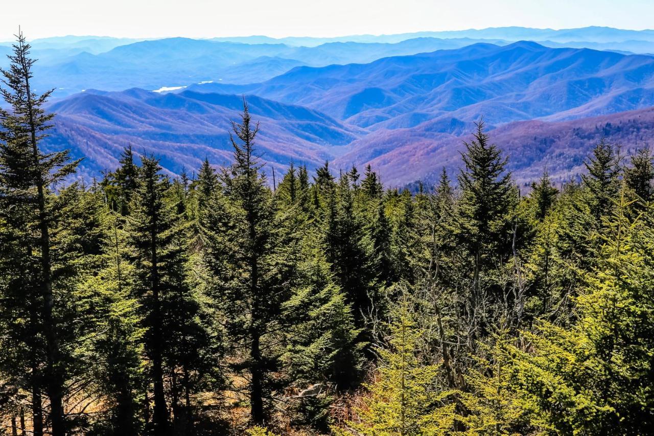 50 Mile View