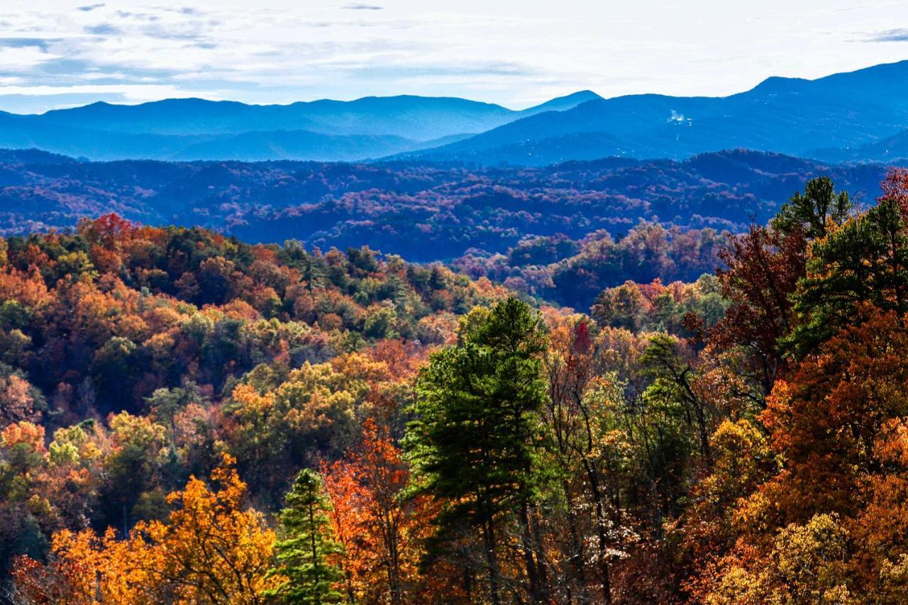 Holiday home Treehouse Pigeon Forge