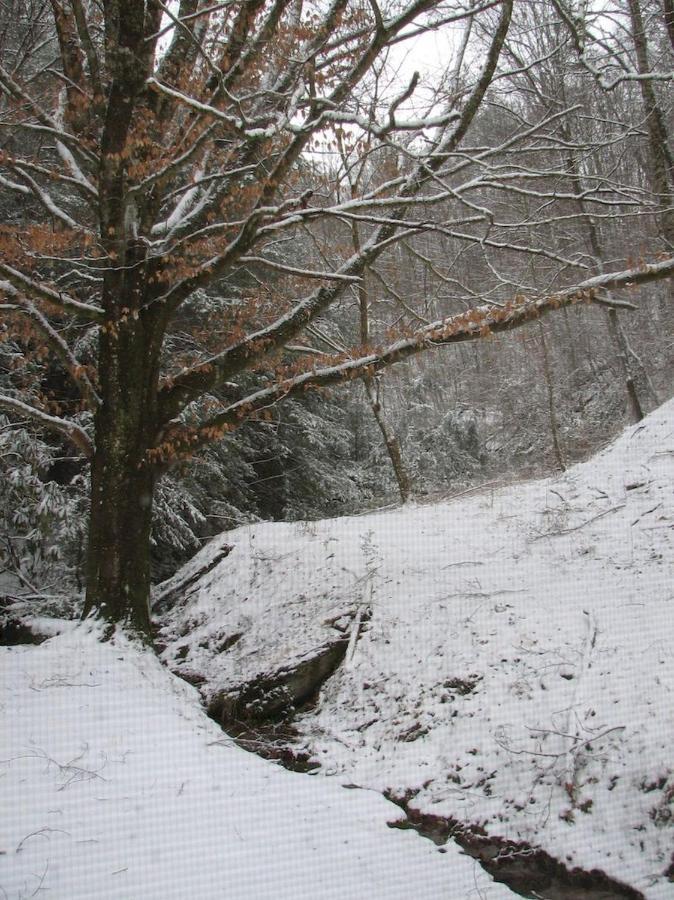 Cozy Creek * Pigeon Forge