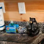 Bear Clubhouse Hot Tub, 1Mile From The Parkway, 900 In Free Tickets!