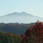 Bella Vista