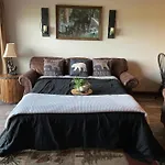 Bearadise Dreams