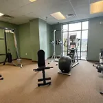 Bearadise Dreams