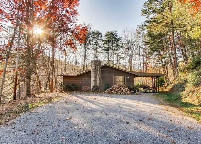 Hidden Hollow Cabin