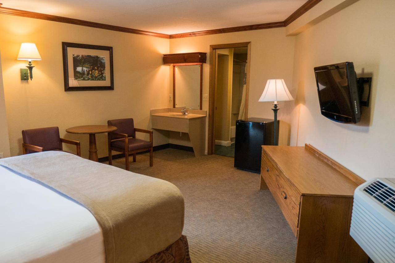Wild Bear Pigeon Forge