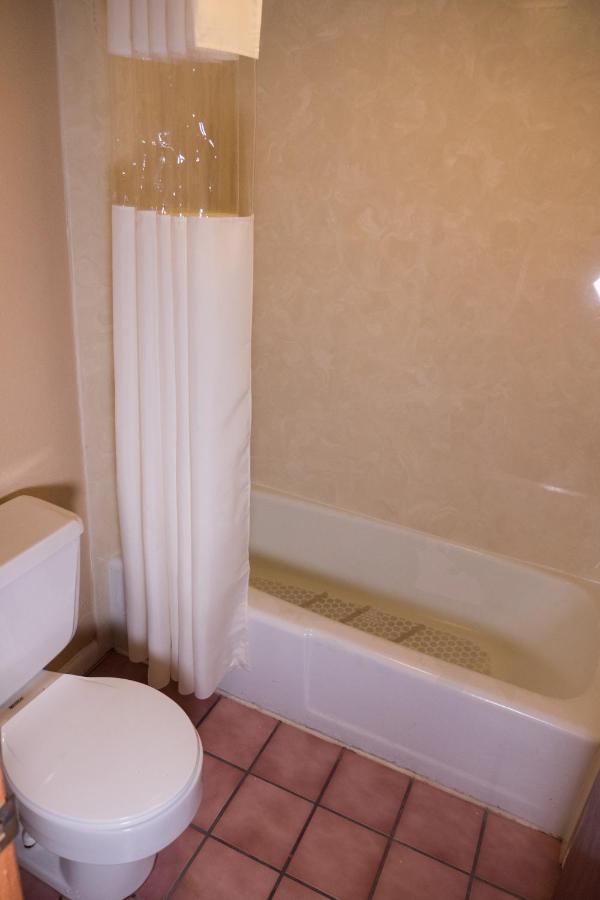 Wild Bear Motel Pigeon Forge