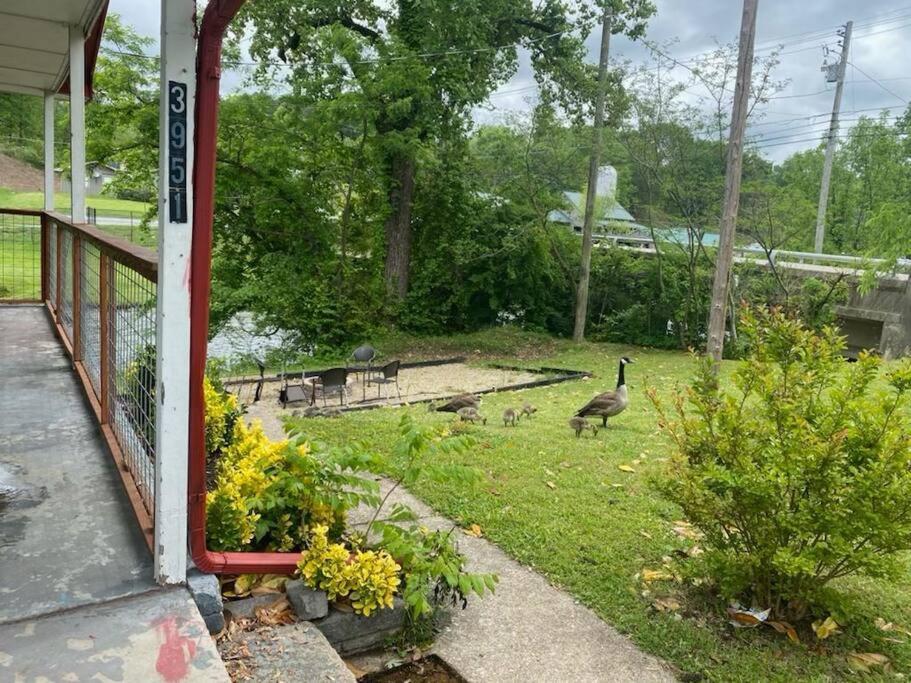 Inpigeon Forge On The River Holiday home